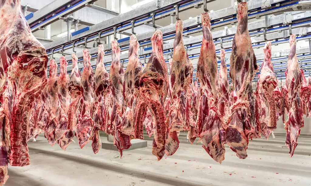 Exportação de Carne Bovina Brasileira Dispara 16,4% em Janeiro: China Lidera Crescimento Apesar de Novas Tarifas