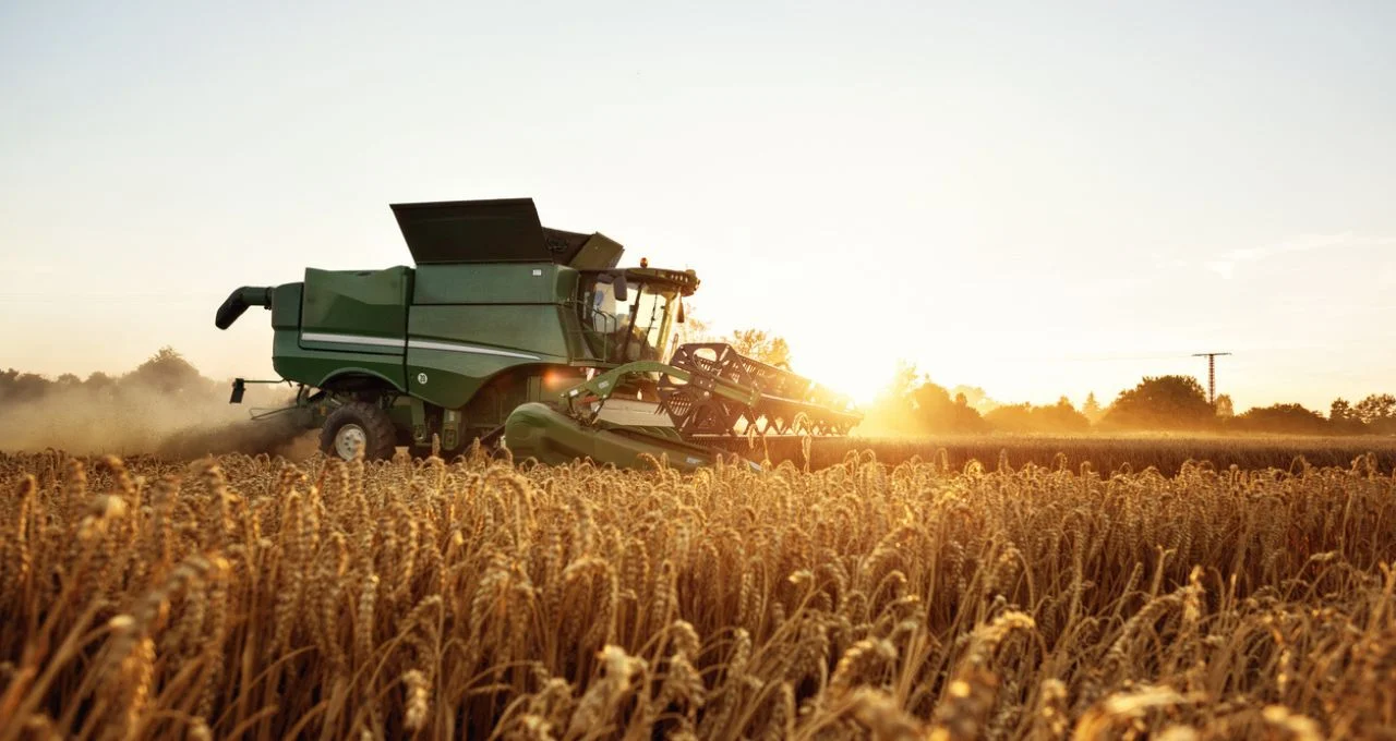 Coamo: Vendas de Soja Lentas e Preocupação Logística com Safra Recorde em 2026