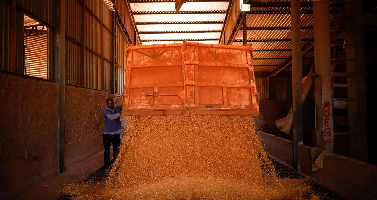 Etanol de Milho Impulsiona Produção no Centro-Sul em Janeiro, Superando Cana-de-Açúcar na Entressafra