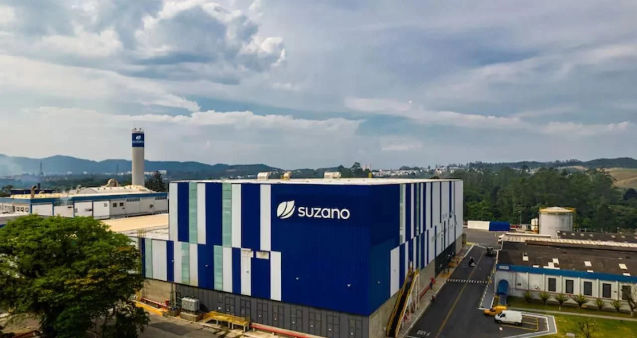 Suzano (SUZB3) Surpreende: Lucro de R$ 116 Milhões Reverte Prejuízo Bilionário e Empresa Lança Novo Programa de Recompra de Ações