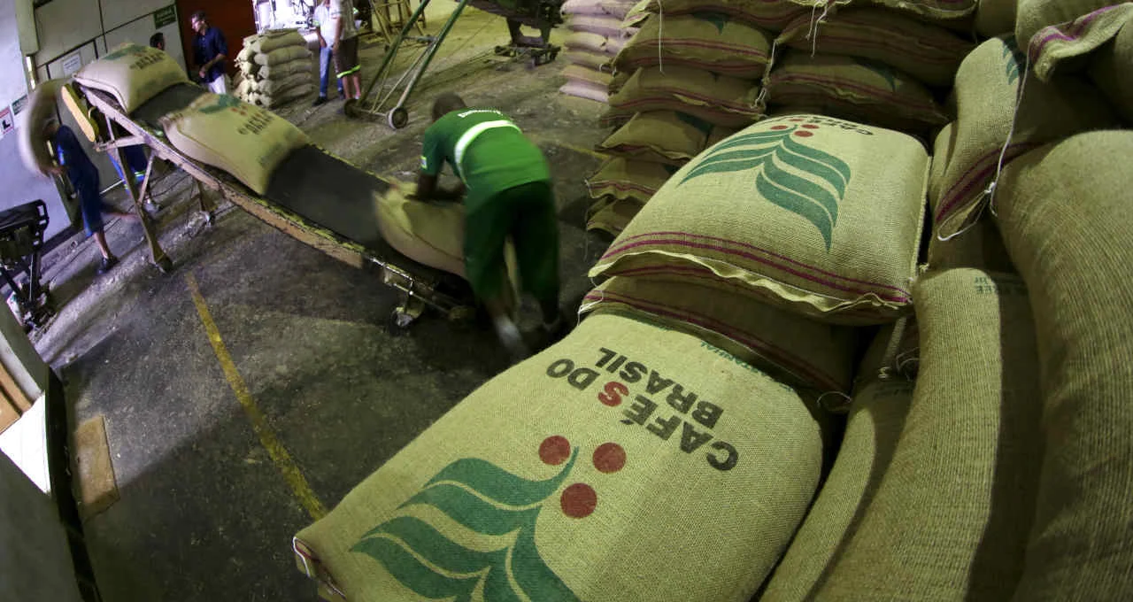 Exportação de Café Verde do Brasil em Janeiro Despenca 30,6%: Preços Baixos e Dólar em Queda Desestimulam Negócios Internacionais