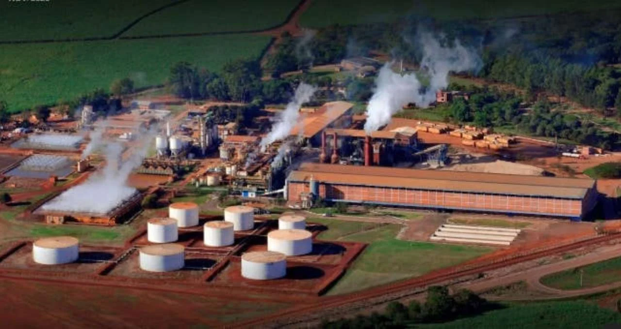 Jalles (JALL3) Surpreende: Lucro de R$ 55,4 Milhões no 3T26 Reverte Prejuízo e Impulsiona Ações com Gestão Eficiente