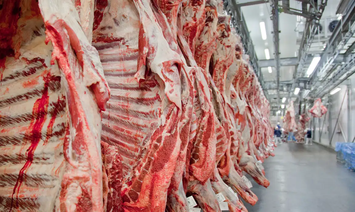 Exportação de Carne Bovina Brasileira Dispara 16,4% em Janeiro: China Lidera Crescimento Apesar de Novas Tarifas