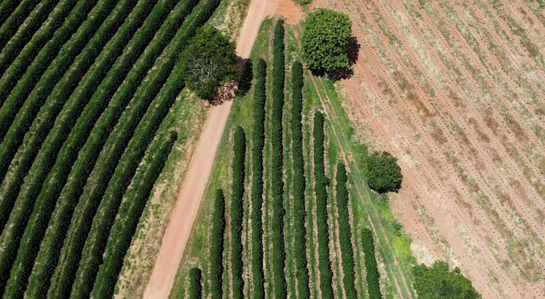 Brasil enfrenta prejuízo bilionário com desastres naturais em 2025: Secas e inundações causam R$ 28 bilhões em perdas