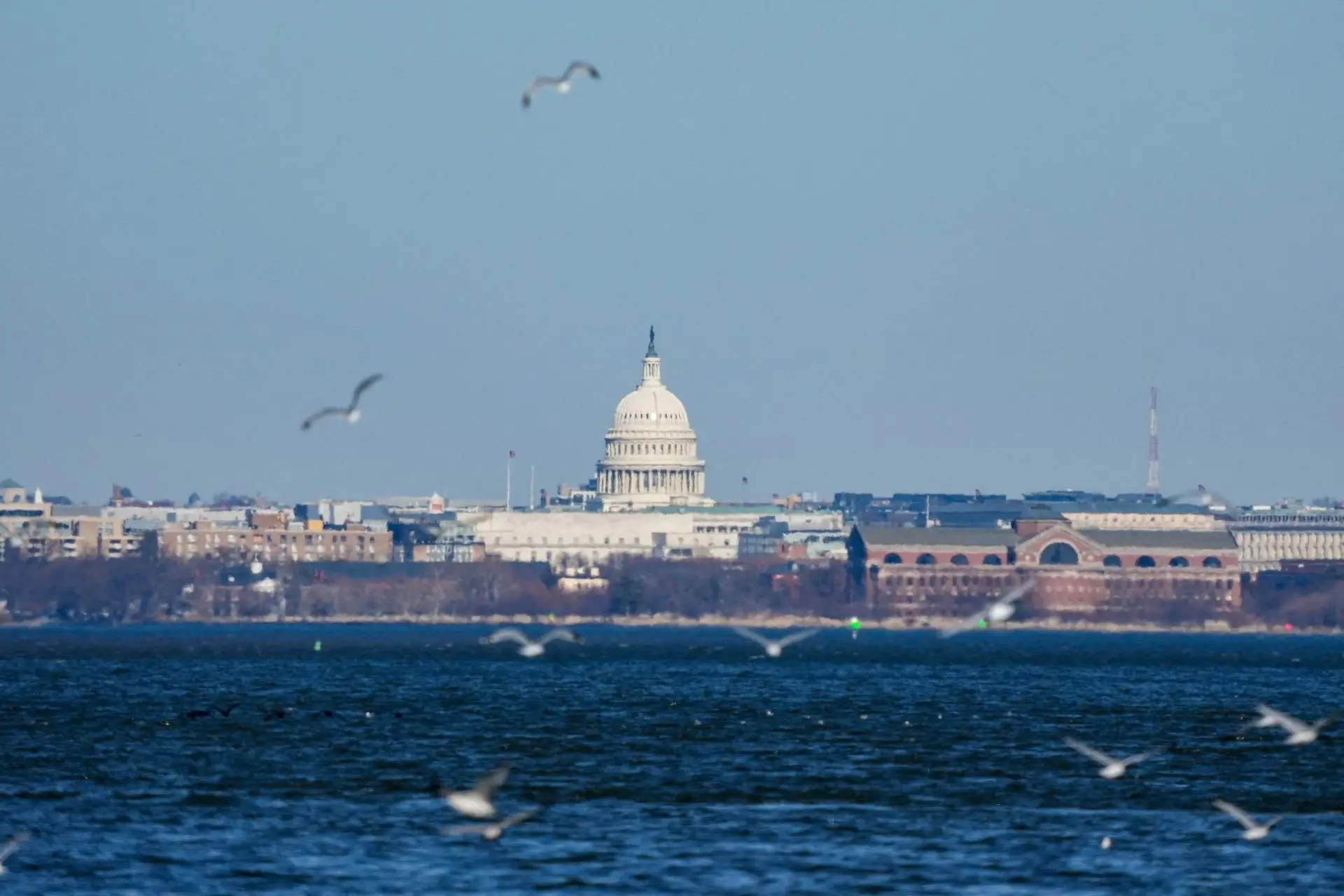 Trump promete proteger Rio Potomac após vazamento de esgoto e acusa gestão local de falhas graves