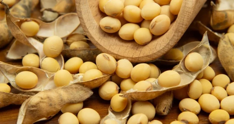 Soja em Alta: China e Esmagamento Recorde nos EUA Impulsionam Preços Perto de Máximas de 3 Meses