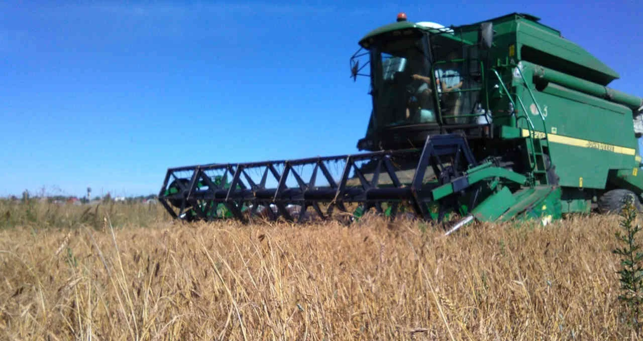 Soja 2025/26: Colheita Inicia no RS com Desafios Hídricos, Emater Aponta Recuperação Parcial em Áreas Afetadas