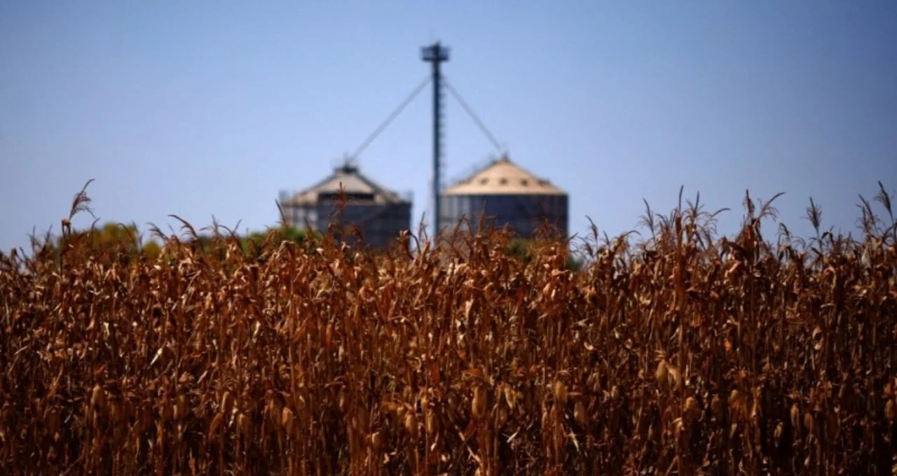 China Almeja Recorde de Grãos em 2030 com Tecnologia e Proteção do Solo, Foco Reduz Dependência de Importações