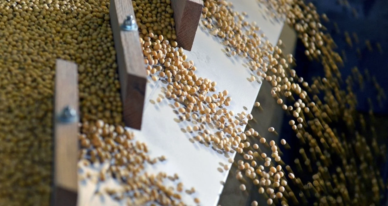 Soja Dispara: Preços Batem Recorde em Chicago com Petróleo em Alta e Tensão Geopolítica Global
