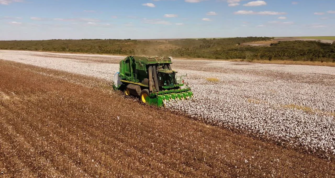 SLC Agrícola (SLCE3) enfrenta alta de 37,9% no prejuízo do 4T25, mas Ebitda e receita surpreendem analistas com crescimento impulsionado por milho e algodão