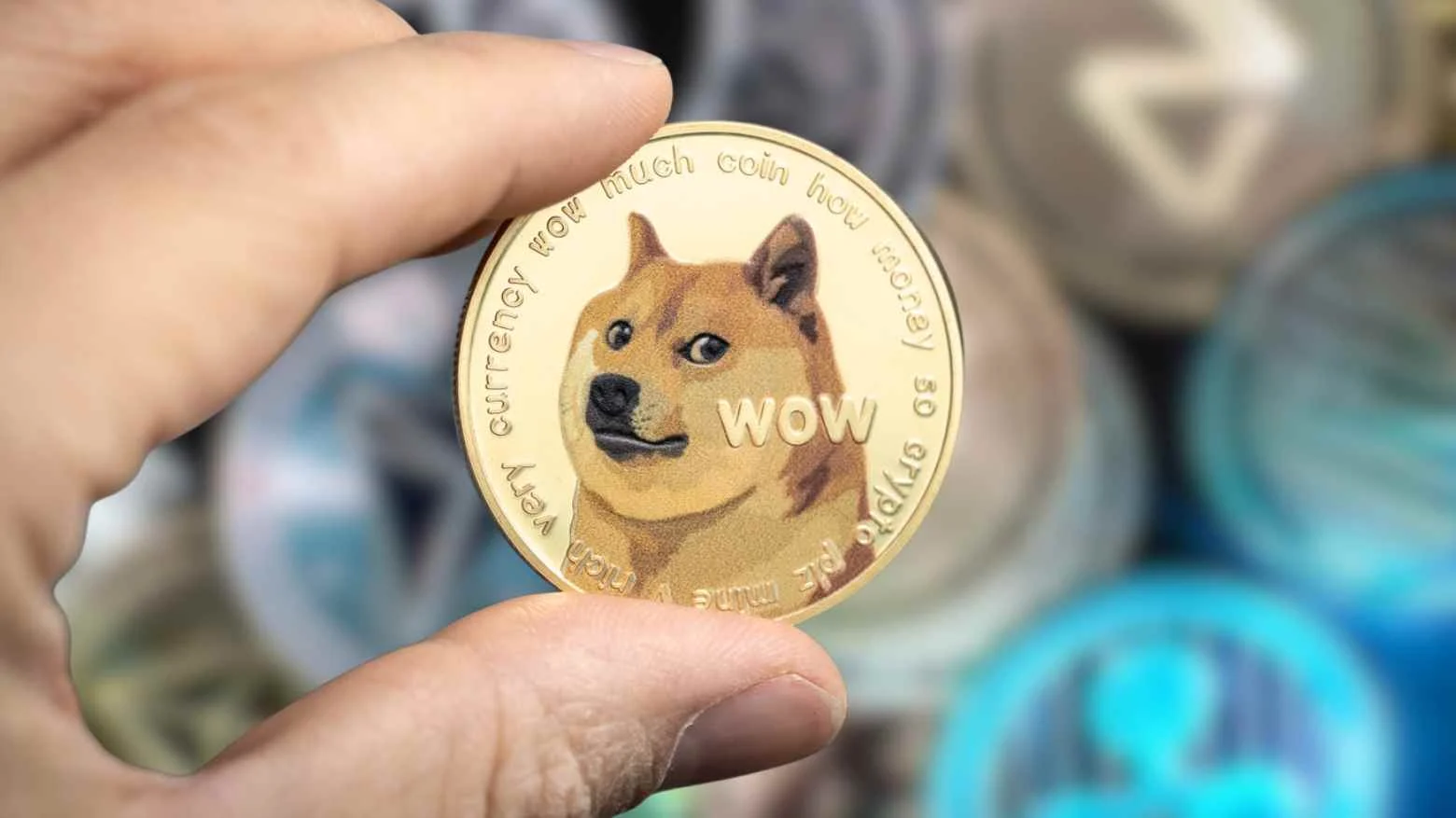 Memebot One Million: Ferramenta Automática Promete Buscar Lucros de R$ 1 Milhão em Criptomoedas com Apenas Alguns Cliques