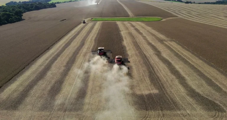 Abiove Eleva Safra de Soja a Recorde de 177,85 Milhões de Toneladas e Projeta Esmagamento Histórico em 2026