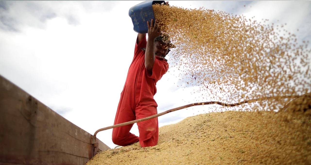 Guerra no Irã Dispara Preços de Grãos Como Soja e Milho, Mas Ameaça Lucros de Frigoríficos; Minerva Foods Pode Subir 82,2%