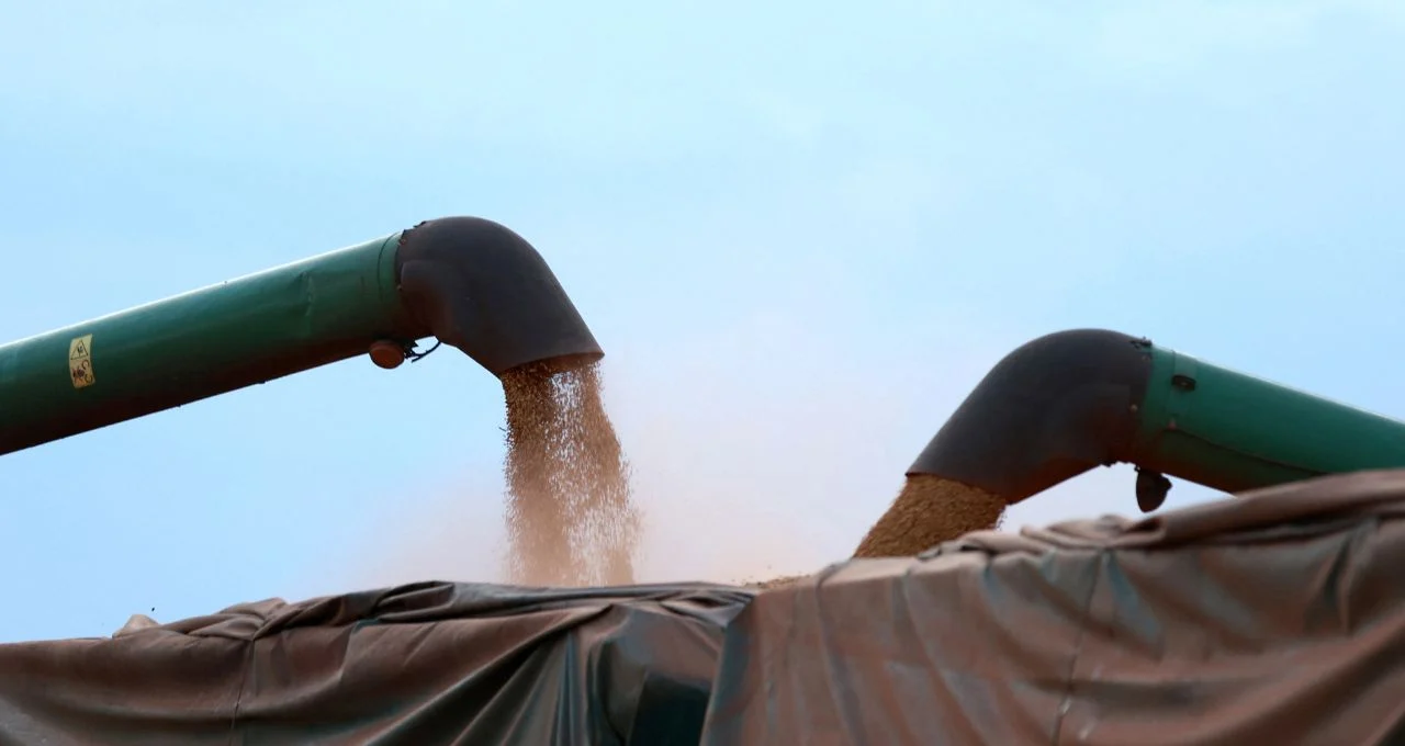 Exportação de Soja do Brasil em Março: Queda na Média Diária e Desafios Climáticos Afetam o Setor