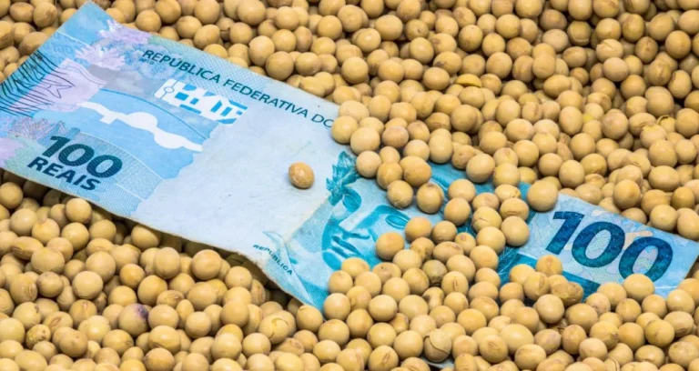 Biocombustíveis nos EUA Disparam Demanda por Soja e Milho, Impactando o Agro Global e Preços de Alimentos