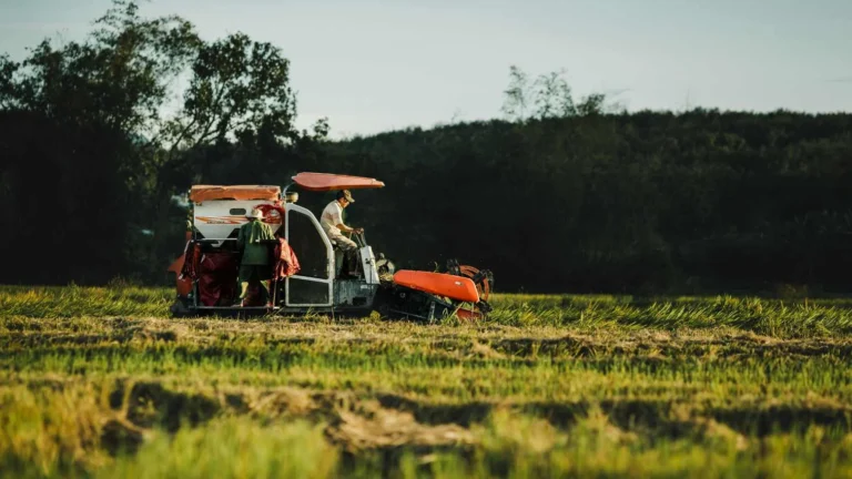 Agro ‘Salva’ o PIB Brasileiro em 2025: Consumo Perde Força e Regiões Divergem, Aponta Banco Central