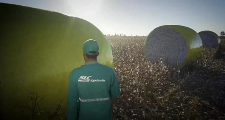 SLC Agrícola (SLCE3): Acordo com Radar alivia pressão, mas JP Morgan e Bradesco BBI pedem cautela em meio a valuation de terras
