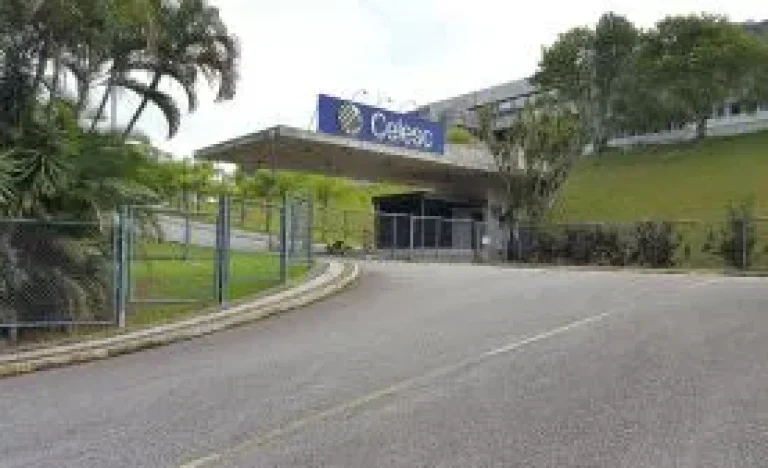 Celesc Inicia Programa de Demissão Voluntária com Benefícios e Limite de R$ 40 Milhões
