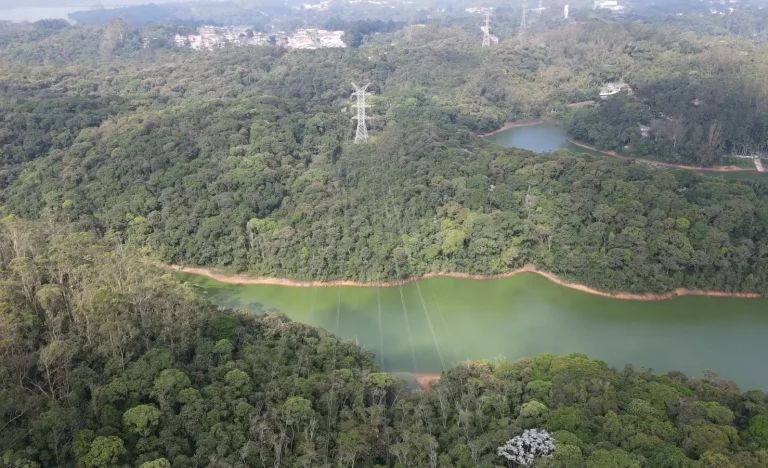 BofA “Duplamente” Aumenta Recomendação da Isa Energia (ISAE4) para Compra, Ações Disparam com Potencial de Alta Subestimado
