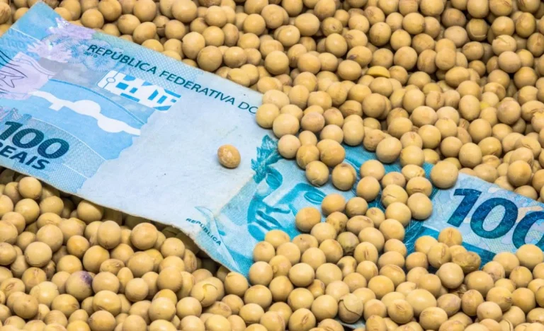 Biocombustíveis nos EUA Disparam Demanda por Soja e Milho, Impactando o Agro Global e Preços de Alimentos
