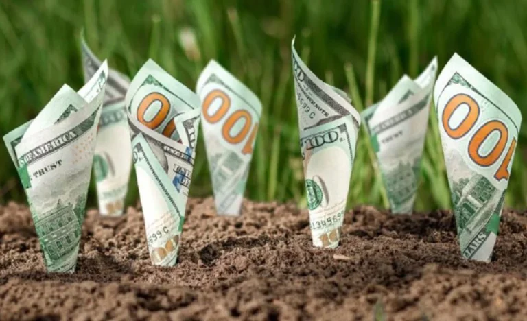 Fundo Agro Pátria Logística Agro (PLAG11) Vende Imóveis no Paraná com Lucro de R$ 8,42 por Cota, Enquanto IFIX Renova Máxima Histórica