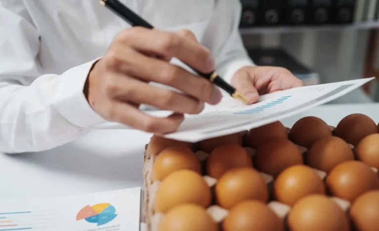 Itaú BBA: Produtor Rural Colhe Mais para Pagar Contas, Recuperações Judiciais em Alta no Agro