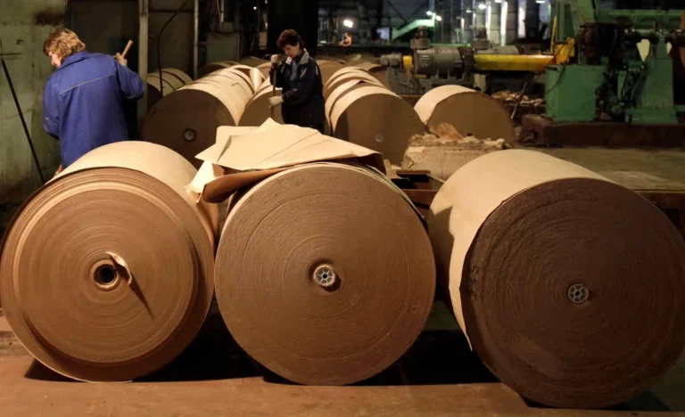 Suzano, Klabin ou Dexco? BTG, Safra e XP revelam quais ações de Papel & Celulose apostar no 4T25