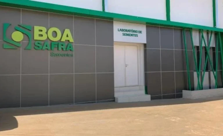 Boa Safra (SOJA3) é rebaixada: Citi segue Itaú BBA e alerta para pressão em sementes de soja