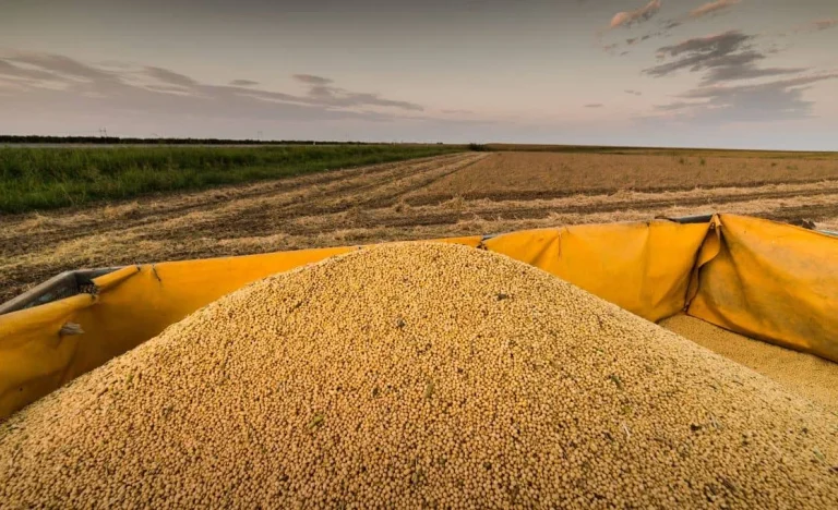 China Paga Mais Caro por Soja dos EUA em Compra Estratégica para Agradar Trump Antes de Visita ao País
