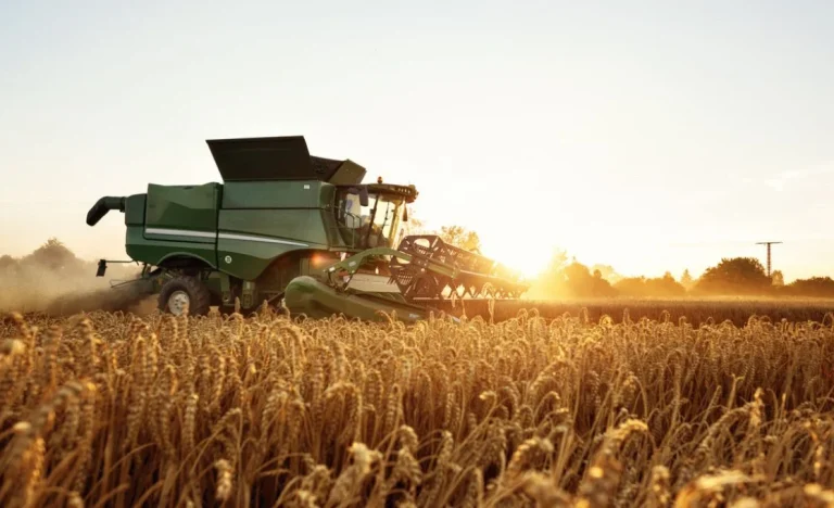 Coamo: Vendas de Soja Lentas e Preocupação Logística com Safra Recorde em 2026