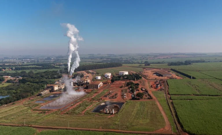 Raízen, São Martinho e Jalles: XP rebaixa Raízen e Jalles, mas vê potencial em usina específica para 3T26