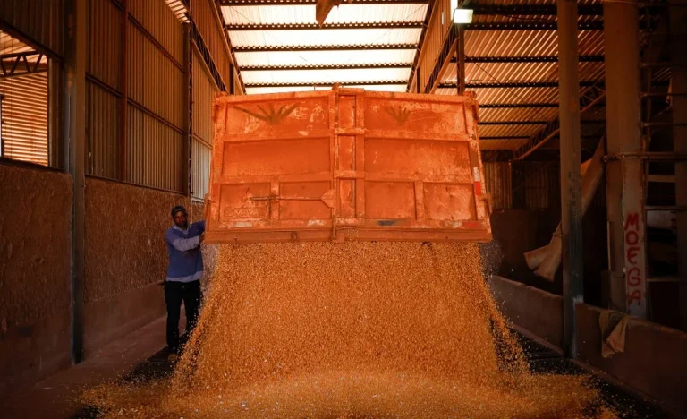 Etanol de Milho Impulsiona Produção no Centro-Sul em Janeiro, Superando Cana-de-Açúcar na Entressafra