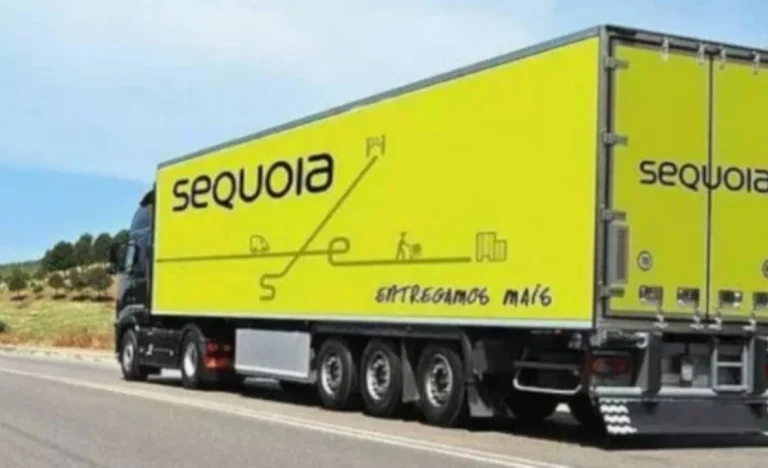 Sequoia (SEQL3) despenca 23%: JiveMauá assume controle e revoluciona capital da empresa de logística