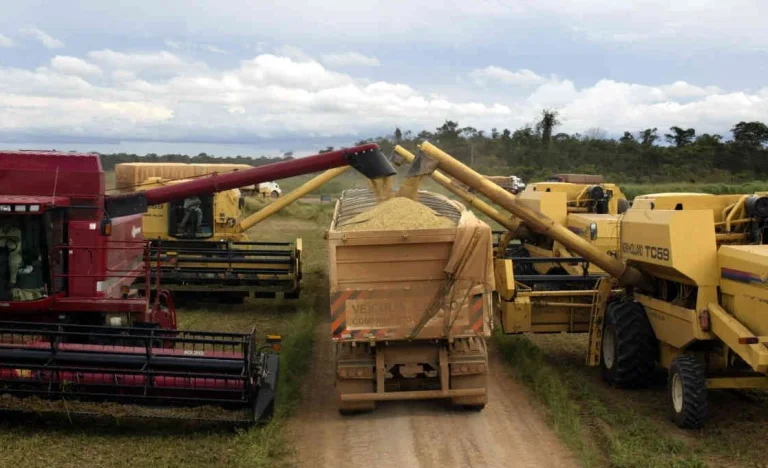 E-agro Bradesco: Plataforma Digital do Agronegócio Prepara Salto de 25% no Crédito Rural até 2026