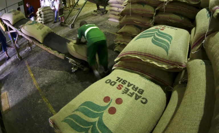 Exportação de Café Verde do Brasil em Janeiro Despenca 30,6%: Preços Baixos e Dólar em Queda Desestimulam Negócios Internacionais