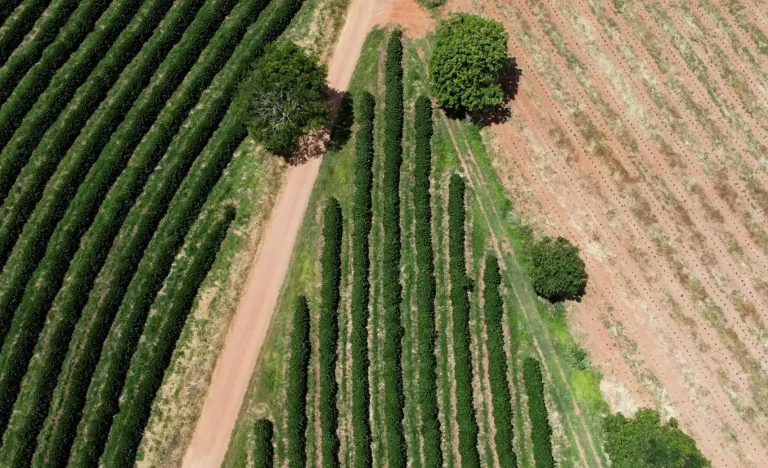 Brasil enfrenta prejuízo bilionário com desastres naturais em 2025: Secas e inundações causam R$ 28 bilhões em perdas