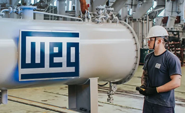 WEG (WEGE3) em Queda: Margens Brilham, Mas Crescimento Futuro Preocupa Investidores e Analistas