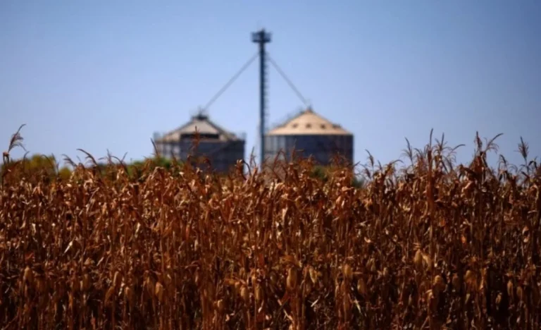 China Almeja Recorde de Grãos em 2030 com Tecnologia e Proteção do Solo, Foco Reduz Dependência de Importações