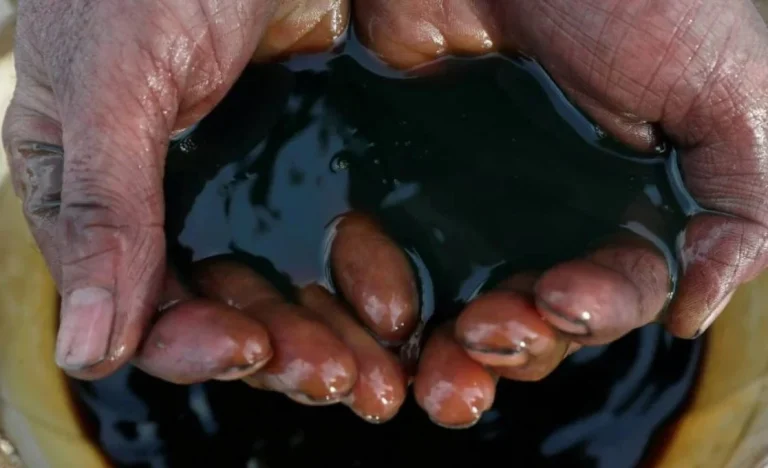 Brava Energia (BRAV3) Acelera Produção em Fevereiro: Meta de 79,5 mil barris de óleo e gás impulsiona resultados