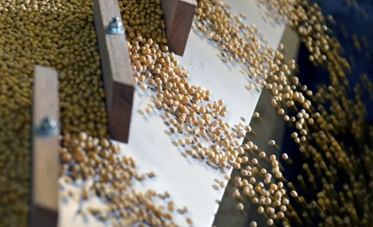 Soja Dispara: Preços Batem Recorde em Chicago com Petróleo em Alta e Tensão Geopolítica Global