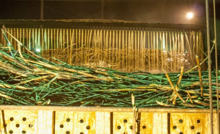 Petróleo em Alta: Usinas Brasileiras Vão Focar em Etanol em Detrimento do Açúcar na Nova Safra