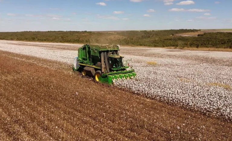 SLC Agrícola (SLCE3) enfrenta alta de 37,9% no prejuízo do 4T25, mas Ebitda e receita surpreendem analistas com crescimento impulsionado por milho e algodão