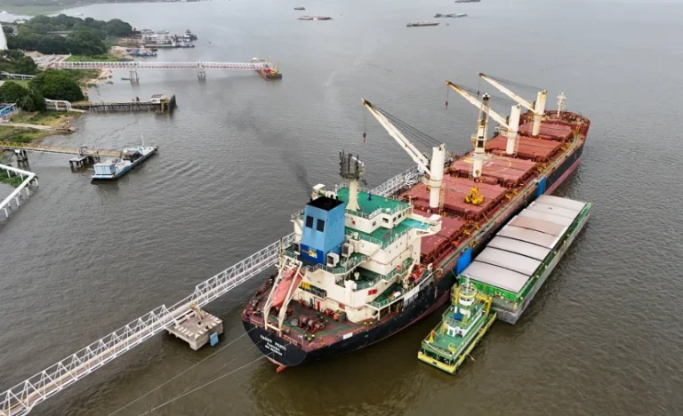 Alerta Soja: Controles Rigorosos do Brasil Causam Atrasos e Preocupam Exportações para a China